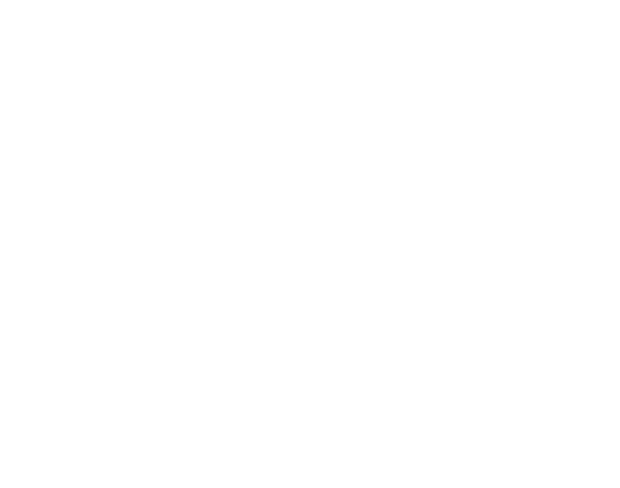 はじめて的前に立った日。いつもと変わらぬ稽古をひたすらに続けた日。思うように矢が飛ばず、弓を握りしめた日。それでも変わらず、また弦を張る日。